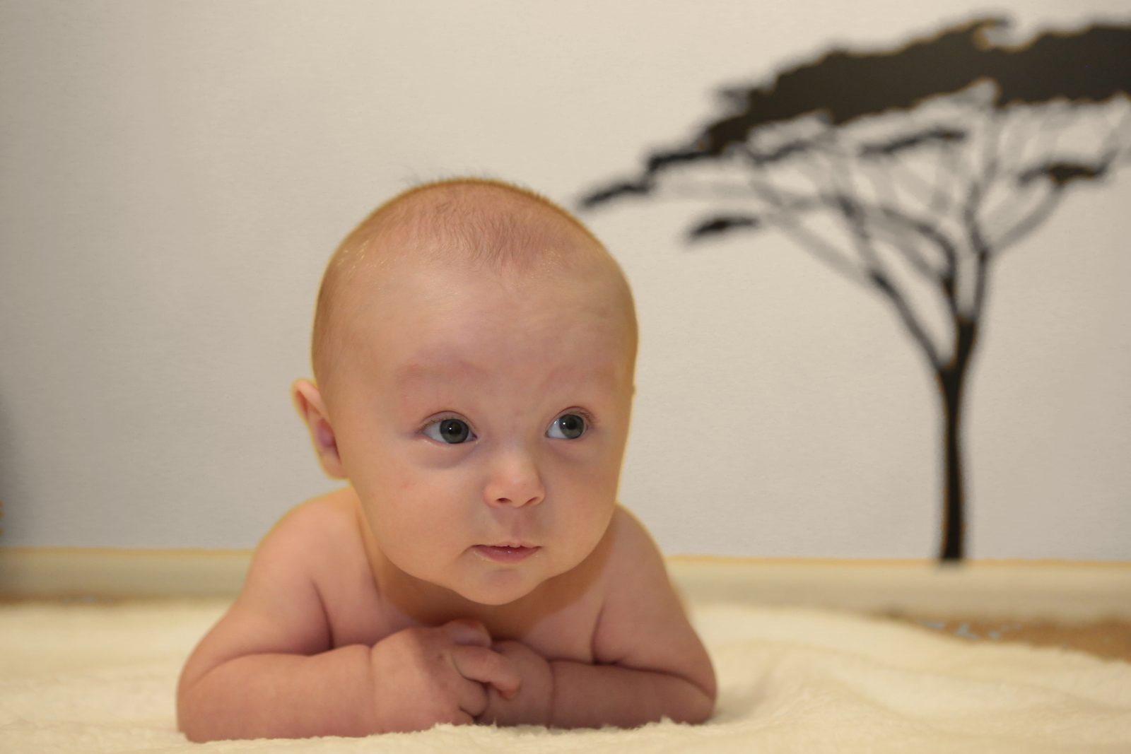 Baby lying on a soft blanket during tummy time